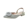 Women Pointed Toe Low Heels